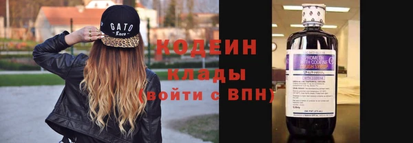2c-b Горно-Алтайск
